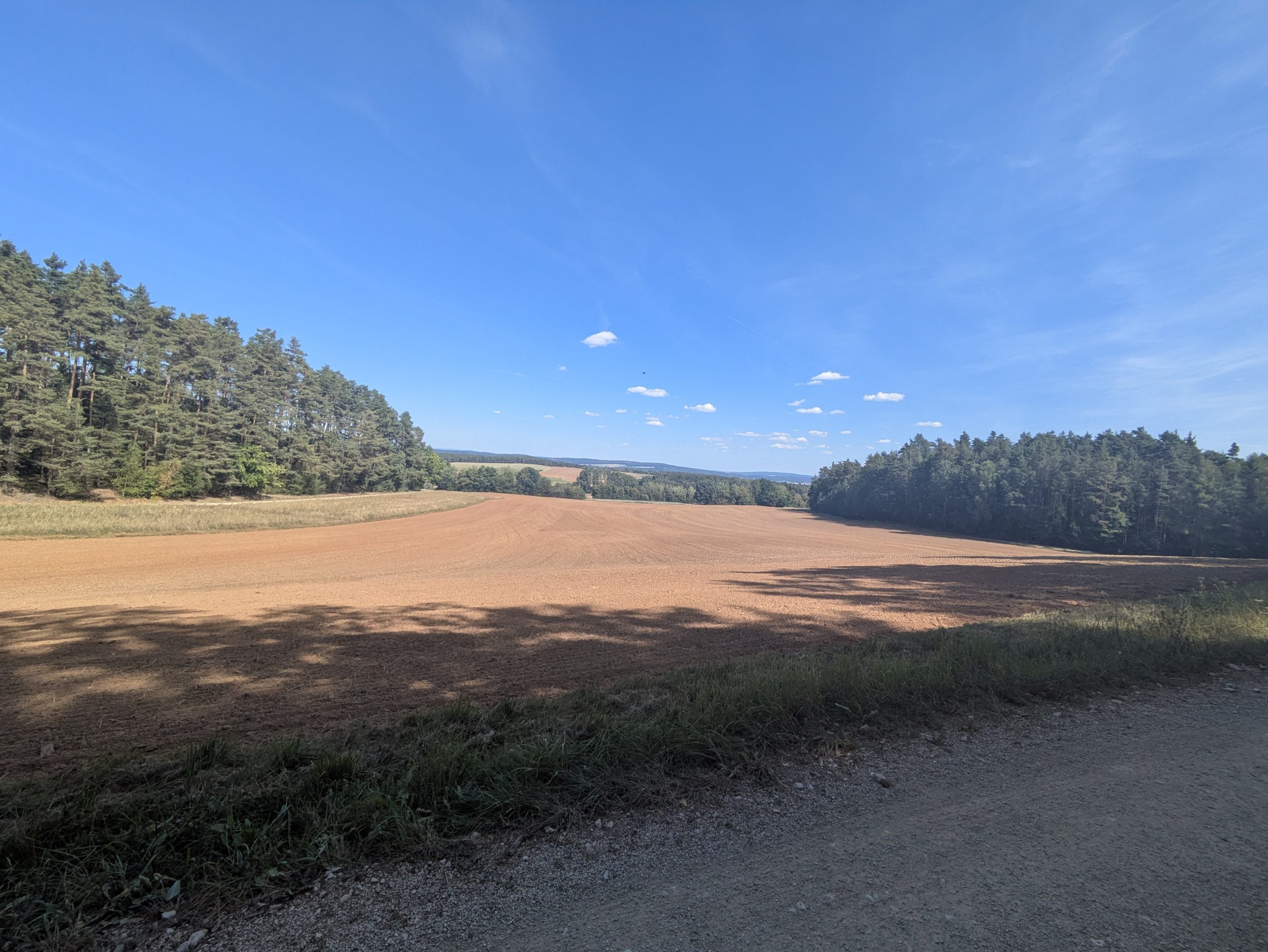 PXL_20250825_124035411