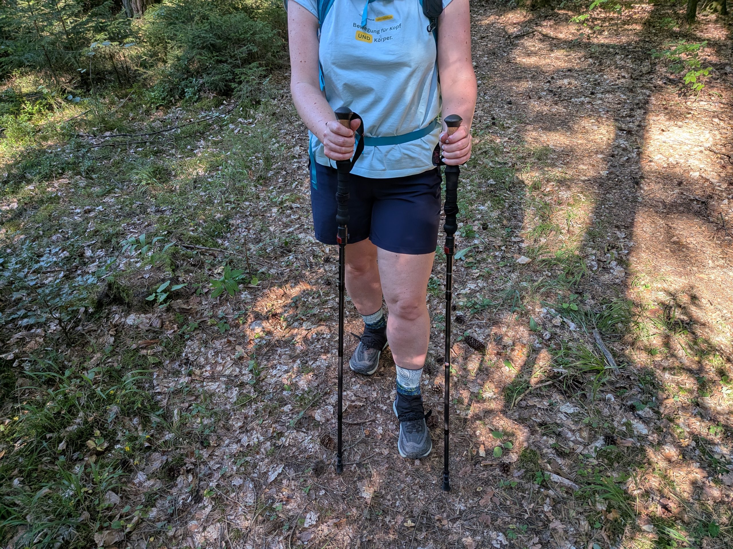 Wanderstöcke bei einer langen Wanderung auf einem Waldweg