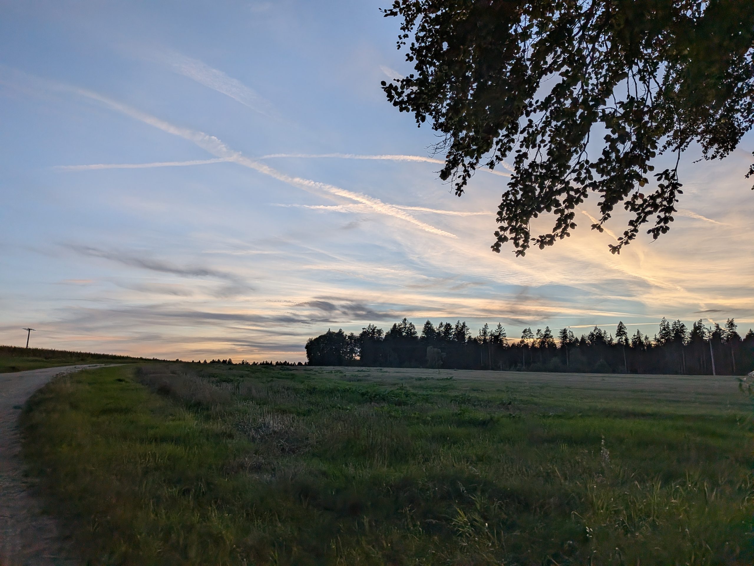 Abendliche Landschaft auf der Strecke des Großen Schlackenmarschs 2026